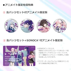 [グッズ]プロジェクトセカイ カラフルステージ！ feat. 初音ミク　シチュエーションアクリルフィギュア‐アナザーボーカルアルバム付き‐ワンダーランズ×ショウタイム