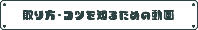 取り方・コツを知るための動画